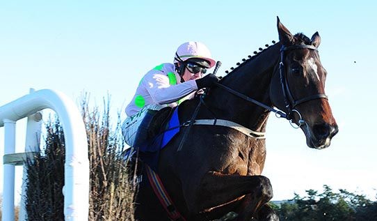 IRLANDA E INGHILTERRA. Douvan senza problemi vince la Oil Chase a Clonmel Park; oggi niente corse a Cheltenham per la prima del November Meeting, causa le abbondanti pioggie che hanno reso impraticabile il percorso di Prestbury Park