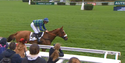 FRANCIA. Auteuil, Galop Marin autoritario coast to coast nel Grand Prix D’Automne, l’allievo di Dominique Bressou difende il titolo precedendo la femmina Paul’s Saga e l’outsider Bergerac. Want Of A Nail reginetta nel Bournosienne, Dream Wish coraggioso nel Congress