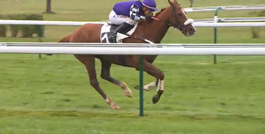 FRANCIA. Compiègne, Le Costaud straordinario, 33 giorni dopo il disastro meranese, domina il Grand Steeple Chase battendo la detentrice A Mi Manera e The Stomp; 15 esima vittoria in carriera per il campione di Guillaume Macaire