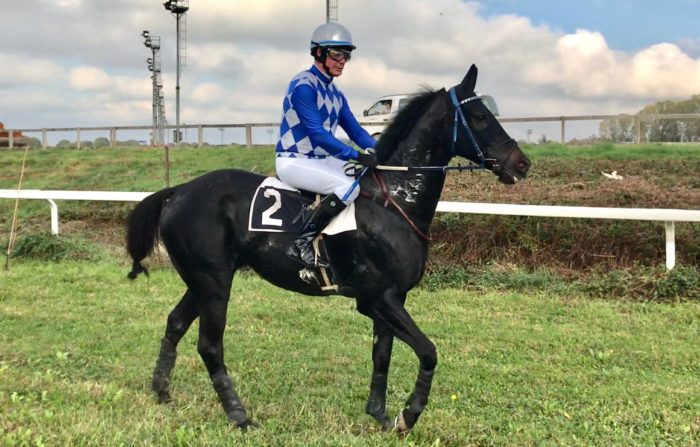 ITALIA. Treviso, Chicago senza problemi sullo steeple batte nettamente Schwarzwald. Power Sail esordio italiano vincente fra i quattro anni, Mentore e Lorenzo Chieregati dominano il cross country