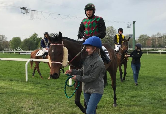 ITALIA. Treviso, tanti partenti nel pomeriggio al Sant’Artemio, clou un’incerta maiden claiming riservata i tre anni in siepi, attesi Dragonheart e Minuit. Di spalla il Renato de Massa cross che guarda all’Amedeo D’Aosta, in pista i compagni Nando e Home Please, interessante anche la siepi riservata agli anziani