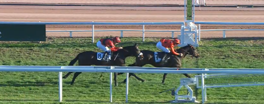 FRANCIA. Cagnes Sur Mer, Berjou replica nel tradizionale Prix du Comté de Nice, battuto l’outsider Myboy, terzo Achour avanti a Fou du Brésil. Meredith sorprende il favorito Lord Pit fra i chaser di quattro anni