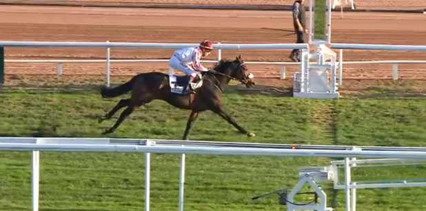 FRANCIA. Cagne Sur Mer, Fou du Bresil e Ludovic Philipperon in splendido stile nel Jean Gailly de Taurines, battuto il veterano Achour nel test di preparazione al Grand Prix de la Ville de Nice, terzo Saint Anjou