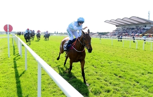 IRLANDA. Fairyhouse, Honeysuckle ed Envoi D’Allen restano imbattuti, rispettive vittorie  nel doppio grade one Hatton’s Grace – Royal Bond. Fakir D’Oudairies domina la Drinmore Chase