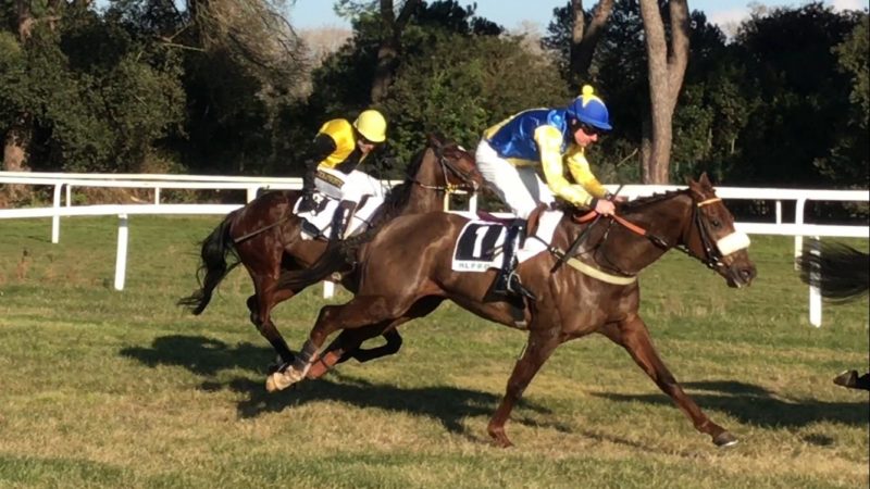 ITALIA. Quinze de la Rose vola ancora a San Rossore, l’allievo di Zdenek Semenka concede il bis nelle mani di Jan Faltejsek, il jockey ceco che replica nella quattro anni in sella all’ottimo First Of All, altra perla targata Charvat – Tuma. Fra gli anziani en plein Vana con la rientrante Santa Klara avanti al compagno Sansiro