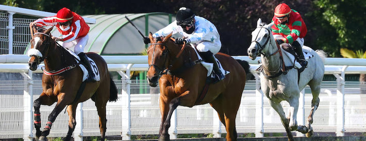 FRANCIA. Compiègne, sabato  si corre anche il Prix Alain Du Breil, l’attesa Course de Haies de Printemps des 4 Ans, un’edizione molto ridotta con due pedine targate Francois Nicolle