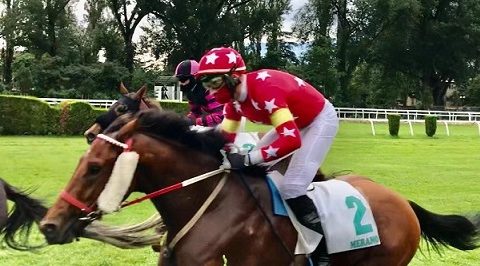 ITALIA. Merano, Airsive vince anche il Cermes, resta imbattuto e si candida al Premio Dei Giovani; ottima la performance di Singapor Rose, terza la femmina Belle Rousse. Nel cross country Broughton stacca il pass per il ‘Roma’ ok Amaranthus e All About Cossio