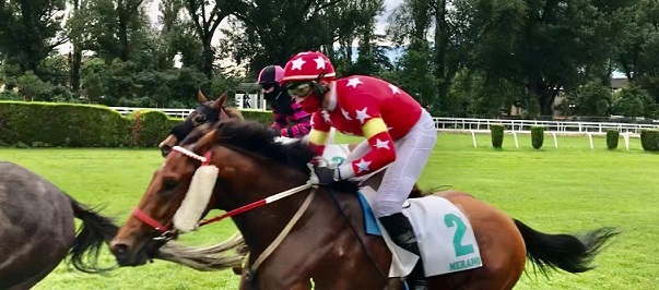 ITALIA. Merano, Airsive vince anche il Cermes, resta imbattuto e si candida al Premio Dei Giovani; ottima la performance di Singapor Rose, terza la femmina Belle Rousse. Nel cross country Broughton stacca il pass per il ‘Roma’ ok Amaranthus e All About Cossio