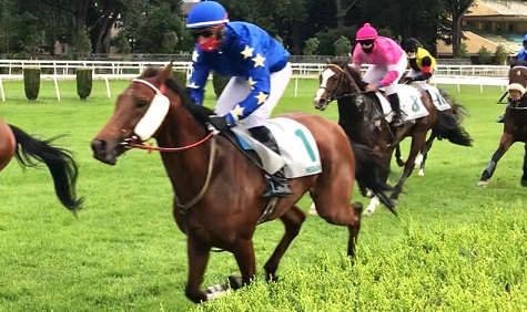 ITALIA. A Merano ci sono Cermes e Giulio Coccia, ultima chiamata al Premio Dei Giovani e Grande Steeple Chase di Roma, in pista Airsive e Belle Rousse fra i giovani; Broughton, Silver Tango, Amaranthus e All About Cossio nel cross country