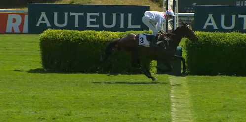 FRANCIA. Auteuil, Al Roc netto nel Prix Saint Saveur, il figlio di Great Pretender batte la coppia di Francois Marie Cottin Cafertiti – Classique; doppio Jeremy Da Silva, Yannick Fouin