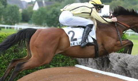 FRANCIA. Le Lion D’Angers, Amazing Comedy vince per il secondo anno consecutivo il France Sire Prix Anjou-Loire Challenge, l’allievo di David Cottin interpretato da James Reveley batte in volata Emeraude de Kerza, terzo Chéz Pedro