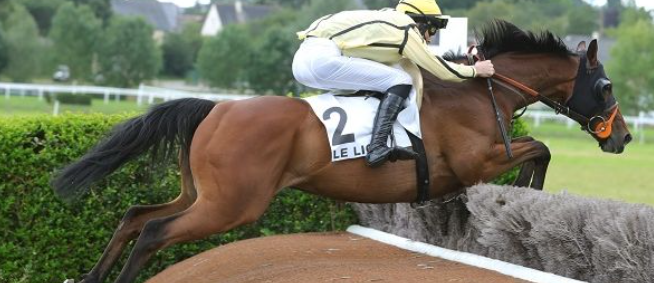 FRANCIA. Le Lion D’Angers, Amazing Comedy vince per il secondo anno consecutivo il France Sire Prix Anjou-Loire Challenge, l’allievo di David Cottin interpretato da James Reveley batte in volata Emeraude de Kerza, terzo Chéz Pedro