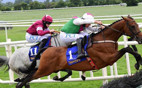 IRLANDA. Willie Mullins conquista il primo gruppo della stagione, splendida la vittoria di Aramon e Paul Townend a Tipperary nel Kevin McManus Bookmaker Grimes Hurdle, (Grade 3) battuto il grigio Petit Mouchoir