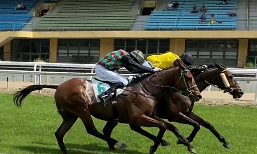 ITALIA. Domenica a Merano si corre il tradizionale Sergio Giorgi, cross country sulla strada del Grande Steeple Chase di Roma che ritrova in pista il vincitore del Nazioni Broughton, oltre a Power Zar, All About Cossio e il ceco Talent