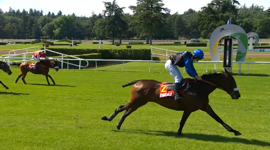 FRANCIA. Sabato a Lyon Parilly il Prix André Baboin Grand Cross de Lyon. Emmanuel Clayeux al via con Daydreaming e Unbrin de L’Isle, contro c’è la coppia di Nicolas de Lageneste Vieux Garçon – Tombé du Lit