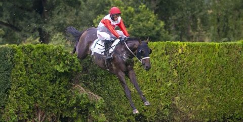 REPUBBLICA CECA. A Pardubice tornano alla vittoria alcune conoscenze italiane, Dusigrosz e Jo Bartos netti nel Città di Pardubice, (1’Kat) Dajuka e il veterano Big Mago (10 anni) interpretato da Veronika Rezacova gli altri protagonisti di giornata