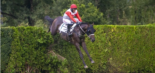 REPUBBLICA CECA. A Pardubice tornano alla vittoria alcune conoscenze italiane, Dusigrosz e Jo Bartos netti nel Città di Pardubice, (1’Kat) Dajuka e il veterano Big Mago (10 anni) interpretato da Veronika Rezacova gli altri protagonisti di giornata