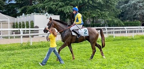 ITALIA. Merano, Piero e Franco Richard con l’imbattuto First Of All, Laldann chiede la rivincita. Broughton prepara il Nazioni cercando la terza consecutiva nell’Arma di Cavalleria; si recupera il Something Special, tabellone completato da altre due prove in ostacoli