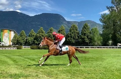 ITALIA. Merano, No Profit e Dunque firma il double Alessio Pollioni. La femmina di Troger si conferma fra i tre anni del Quarazze, il quattro anni di Gianluca Verricelli nella maiden novices dell’Or Jack. Il Superstite commovente sullo steeple, Lost Monarck e Pietro Stefani splendida vittoria nel cross country
