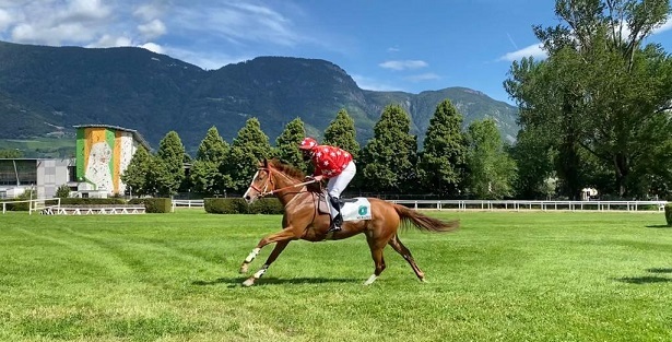 ITALIA. Merano, No Profit e Dunque firma il double Alessio Pollioni. La femmina di Troger si conferma fra i tre anni del Quarazze, il quattro anni di Gianluca Verricelli nella maiden novices dell’Or Jack. Il Superstite commovente sullo steeple, Lost Monarck e Pietro Stefani splendida vittoria nel cross country