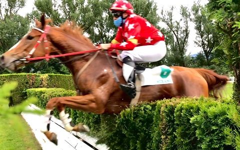 ITALIA. Merano a nervi tesi, domenica si corre in un clima di grande incertezza. La riunione si aprirà con una prova in steeple dove tornano a sfidarsi Schwarzwald e Il Superstite; Thavors vs No Profit fra i tre anni, Gangster de Coddes atteso fra gli anziani, spettacolare il cross country