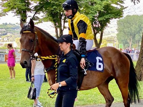 ITALIA. Merano domenica, Grande Steeple Chase con la coppia Notti Magiche – L’Estran, il ceco Northerly Wind e il francese di David Cottin Minella For Me. Ezio Vanoni e Roma di spalla, in chiusura l’affascinante Premio Dei Giovani