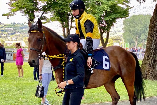 ITALIA. Merano domenica,  Grande Steeple Chase con la coppia Notti Magiche – L’Estran, il ceco Northerly Wind e il francese di David Cottin Minella For Me. Ezio Vanoni e Roma di spalla, in chiusura l’affascinante Premio Dei Giovani