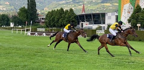 ITALIA. Merano, trionfo Aichner Vana nel week end Summer Meeting, vittoria nel Grande Steeple d’Europa con Notti Magiche en plein L’Estran. Uno due nel Criterium grazie a Pour Vout et Nous e Kolsche Jung (sfortunato Sky), Broughton piega Power Zar nel Roma, Romano e Troger vincono il Dei Giovani con l’imbattuto Airsive