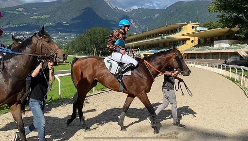 ITALIA. Merano week end, sabato il ricordo del mitico ‘Chiodo’ Giuseppe Chiodini nella condizionata in siepi per anziani dove si rivedono Au Piede Leve e Leonardo Da Vinci; nella Novices atteso il potente Dunque