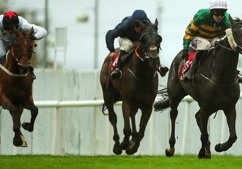 IRLANDA. Early Doors e Mark Walsh vincono in bello stile l’attesissima Galway Plate, l’allievo di Patrick O’Brien alla sua prima vittoria nel classico di Ballybrit, regala il terzo successo al magnate Jp McManus