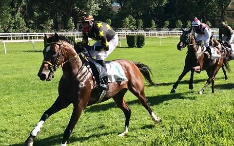 ITALIA. Merano, Exciter cerca la conferma da big nel Royal Mougins. Equilibrato il Giovanni Bonomi con il top weight Mensch, Hidden Horizon vs Bajazyd fra i tre anni; Val D’Isarco, Kapjahr in pole, spettacolo cross in apertura, Romano in caccia della vittoria numero 900!