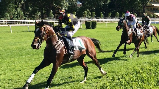 ITALIA. Merano, Exciter cerca la conferma da big nel Royal Mougins. Equilibrato il Giovanni Bonomi con il top weight Mensch, Hidden Horizon vs Bajazyd fra i tre anni; Val D’Isarco, Kapjahr in pole, spettacolo cross in apertura, Romano in caccia della vittoria numero 900!