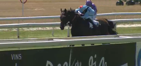 FRANCIA. Fence Des Bruyeres e Thomas Beaurain vincono la Grande Course de Haies de la Test, battuto dopo bel dibattito finale Elixir Pearl; terzo Blue Blue Eyes, non pervenuto il detentore della corsa Beau Nora