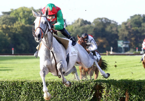 FRANCIA. Parterre de rois domenica ad Auteuil. Attesa per il Maurice Gillois con la presenza del campionissimo Le Berry; incerto il gruppo uno del Cambacérès per i tre anni, si corrono anche Bournosienne, Camarthen e Congress con la vincitrice della Grand Course de Haies Paul’s Saga