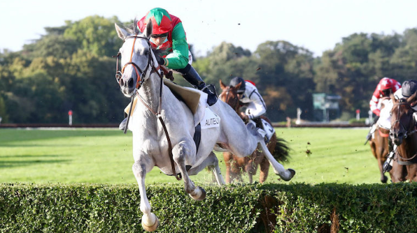 FRANCIA. Ad Auteuil il Prix The Fellow sui 4400 metri, gara che prepara al Maurice Gillois, in pista il potente grigio Le Berry, l’allievo di David Cottin imbattuto sullo steeple