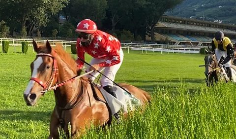 ITALIA. Merano, torna a sventolare il bianco rosso di Christian Troger, tre vittorie nel fine settimana in una domenica super grazie ai successi di Amaranthus nel cross country e l’interessante femmina No Profit nel Sharstar
