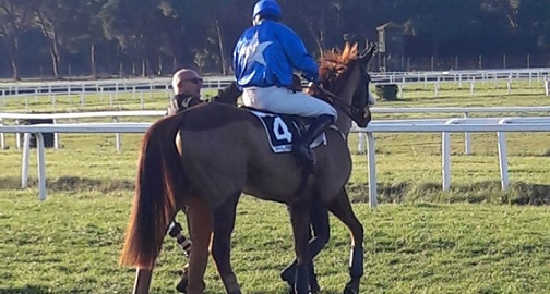 ITALIA. Merano, blocco scongiurato, si corre regolarmente. Clou lo steeple in ricordo di Alpha Two, top weight World Speed, Favero temibile con Sea Battle. Fra gli anziani Schwarzwald e Mezajy vs Ole Caballero e il rientrante Quinze de la Rose