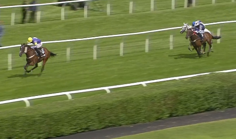 INGHILTERRA. Really Super a sorpresa (25/1) nel Summer Plate Handicap Chase a Market Rasen, primo gruppo della stagione NH, battuti Fidux e il grigio Solomon Grey, quarto il generoso leader More Buck’s