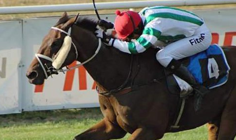 REPUBBLICA CECA. Pardubice, Theophilos e Josef Bartos rientro vincente nel round uno di qualificazione al Velka, battuto Hegnus con Marek Stromsky, terzo Player (settimo Mazhilis). Aztek supera l’Aichner Sansiro sullo steeple