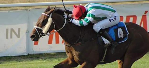 REPUBBLICA CECA. Pardubice, Theophilos e Josef Bartos rientro vincente nel round uno di qualificazione al Velka, battuto Hegnus con Marek Stromsky, terzo Player (settimo Mazhilis). Aztek supera l’Aichner Sansiro sullo steeple