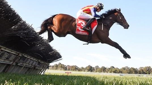 AUSTRALIA. Ablaze strepitoso, l’allievo di Ciaron Maher interpretato da Shane Jackson vince anche il Grand National Hurdle e resta imbattuto in carriera, nulla da fare per Tallyho Twinkletoe solo quinto al traguardo, bene Bee Tee Junior e Gobstopper