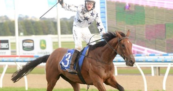 AUSTRALIA. Bee Tee Junior e Lee Horner (hat trick) trionfano nel Grand National Steeple Chase a Ballarat, stop all’imbattuto Ablaze secondo avanti a Michelin e Lucques