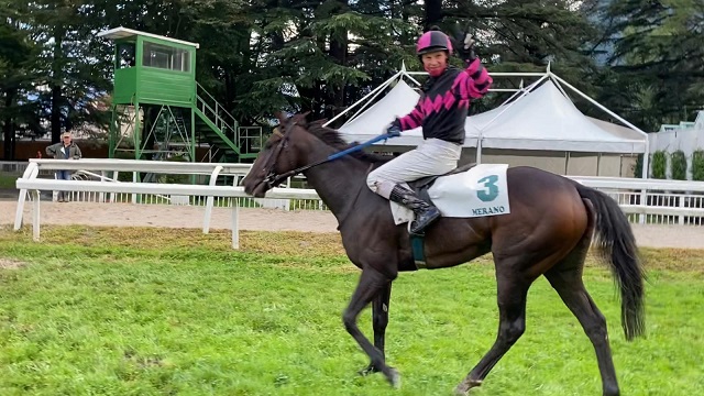 ITALIA. Merano, domenica oltre al GP, si corre anche il Gran Criterium d’Autunno con le femmine terribili Best Address e No Profit, pronte ad arginare la francese Fire de Toi. Nella Corsa Siepi per i 4 anni, trittico d’oro con Sky Costellation, No Pasaran e il potente Macaire Apple’s Cat