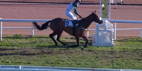 FRANCIA. Clairefontaine, mercoledì diretta ore 13.50, il canonico appuntamento con il Grand Steeple Chase Ville de Deauville, sedici al via fra questi Bounwell e il formidabile Enola Gay; Francois Nicolle a quattro punte