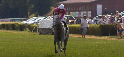 REPUBBLICA CECA. Lysà Nad Labem, in Boemia prima vittoria in carriera per il cinque anni Forever Dry (Josef Vana Sr) in sella puntuale Jan Kratochvil. Il grigio da Jukeboxe Jury ha battuto in volata Sztorm, terzo Peintre Elusif avanti a Big Mago, male il favorito Dusigrosz