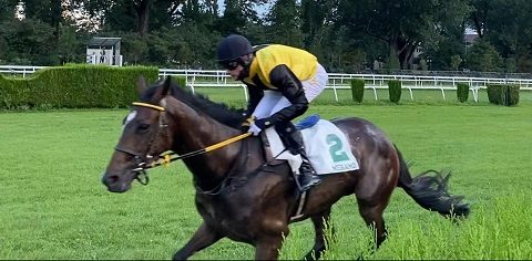 ITALIA. Merano, Aichner e Vana Jr in forte ascesa. Domenica ancora una tripla di vittorie e tante nuove proposte, L’Estran resta la punta di diamante, il trainer soddisfatto dell’attuale trend