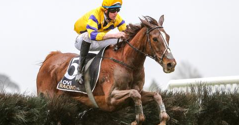 NUOVA ZELANDA. Si corrono i trials di Waikato Hurdle e Steeplechase orfani del Grand National, Harvey Wilson schiera It’s A Wonder vincitore della classica 2019 sullo steeple e Bad Boy Brown, secondo nella Hurdle della passata stagione