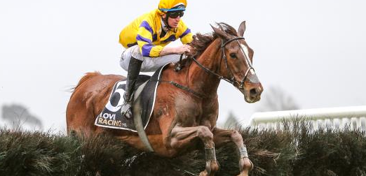 NUOVA ZELANDA. Si corrono i trials di Waikato Hurdle e Steeplechase orfani del Grand National, Harvey Wilson schiera It’s A Wonder vincitore della classica 2019 sullo steeple e Bad Boy Brown, secondo nella Hurdle della passata stagione