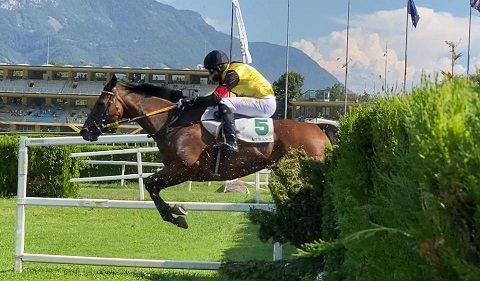 ITALIA. Merano, Laldann assoluto protagonista in un Pollio ad eliminazione. Nella domenica a forti tinte giallo nere per il triplete Aichner – Bartos – Vana, vincono anche Treizor du Pilori e Gangster De Coddes