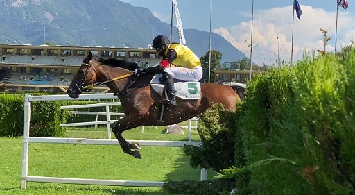 ITALIA. Merano, Laldann assoluto protagonista in un Pollio ad eliminazione. Nella domenica a forti tinte giallo nere per il triplete Aichner – Bartos – Vana, vincono anche Treizor du Pilori e Gangster De Coddes